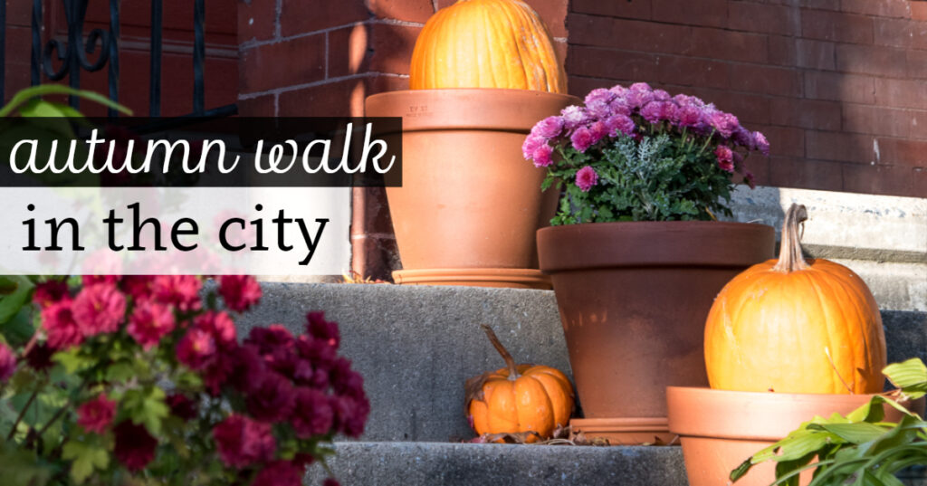 Autumn Walk in the City