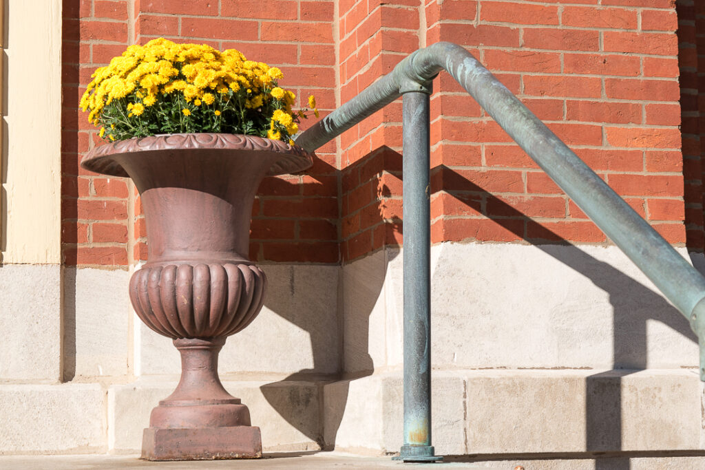Mums in an urn.