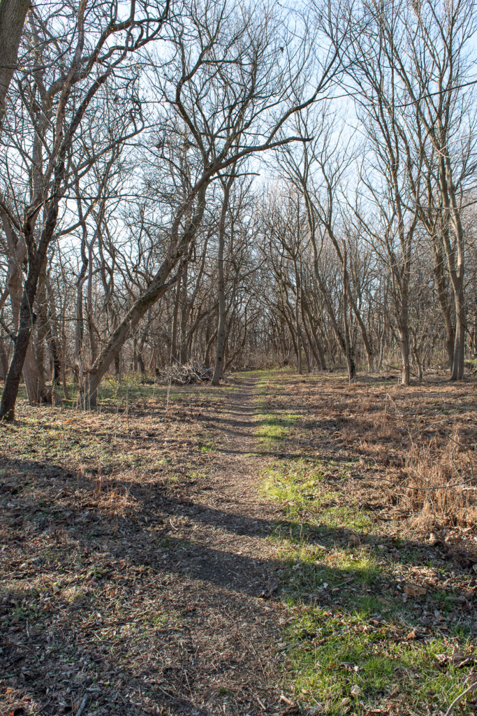 Hiking Trail