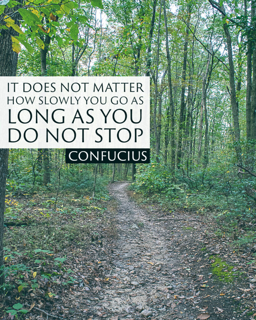 "It does not matter how slowly you go as long as you do not stop." ~Confucius
