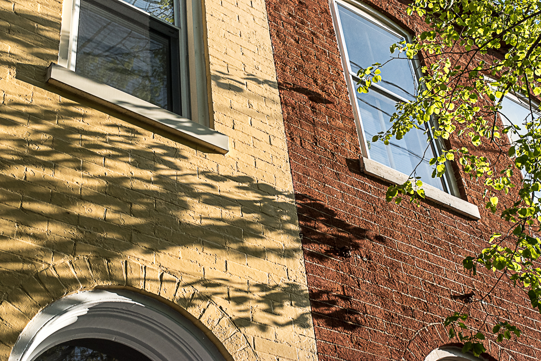 Tree shadow on brick houses