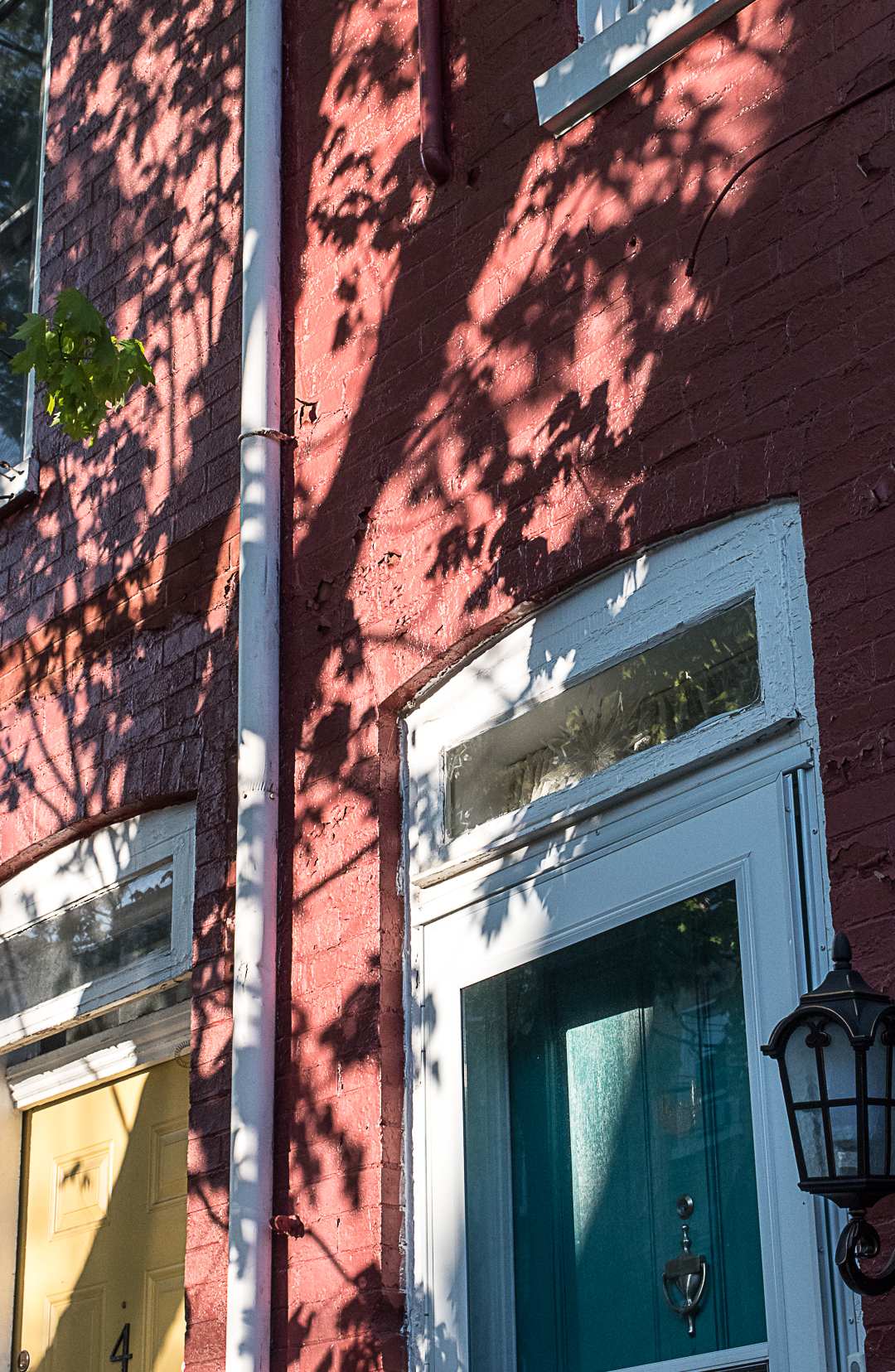 Tree shadow on houses with colorful doors