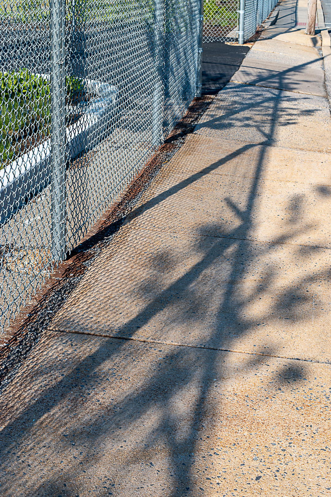 Fence & plant shadow on sidewalk