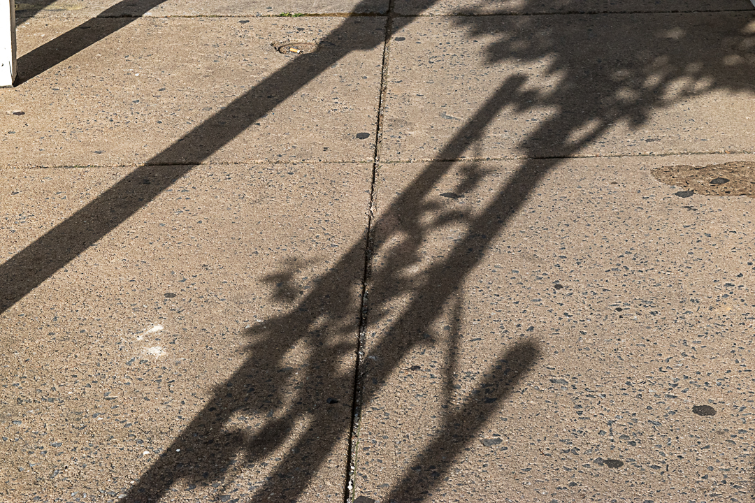 Railing and tree shadow on sidewalk