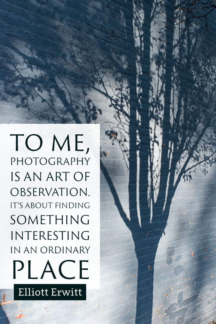 "To me, photography is an art of observation. It’s about finding something interesting in an ordinary place." ~Elliott Erwitt