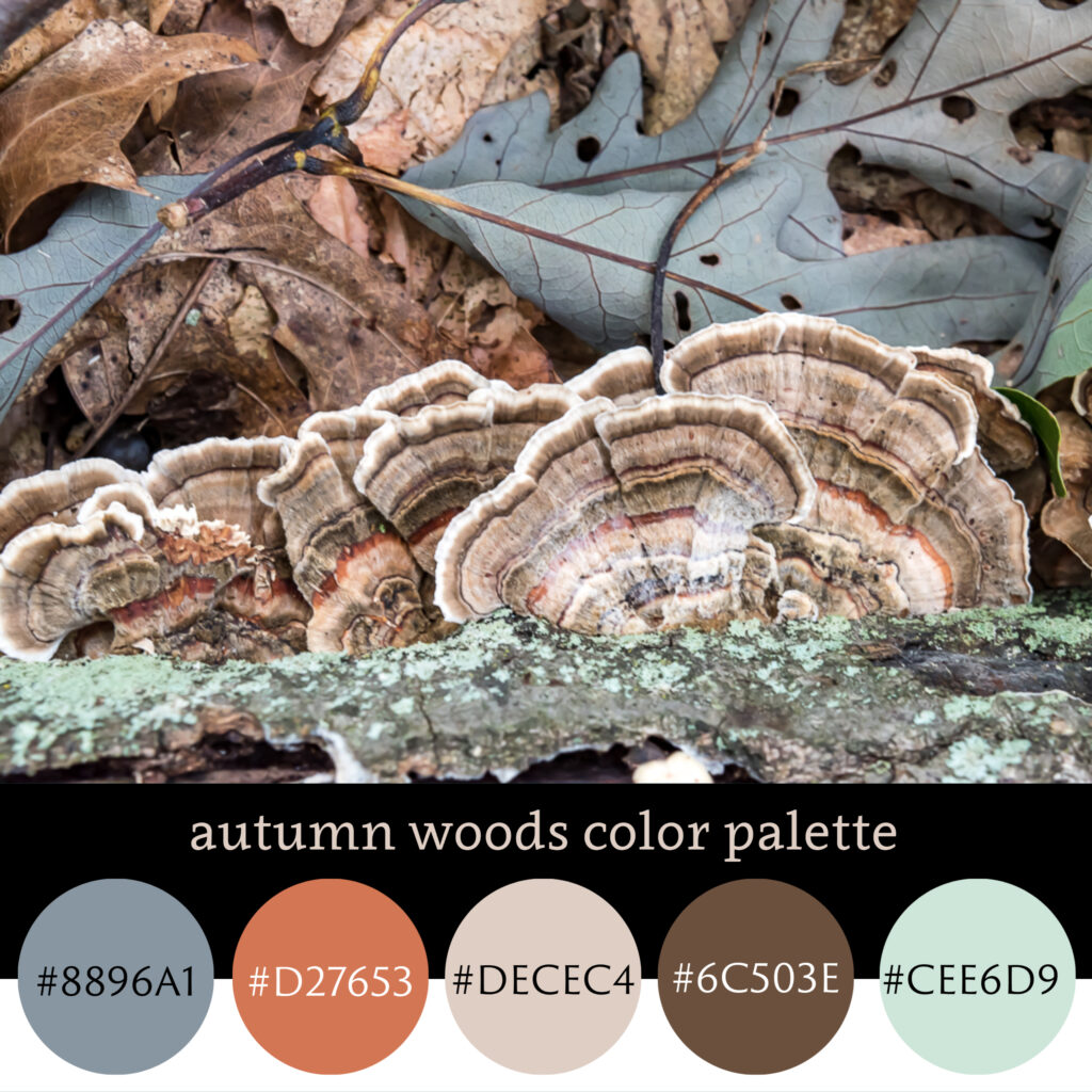 Autumn Woods Color Palette
