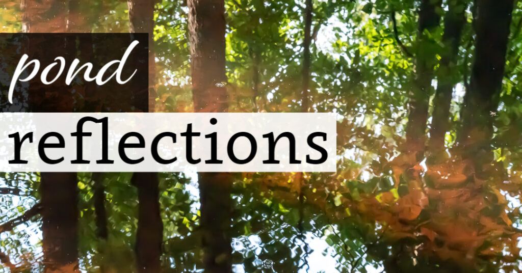 Pond Reflections
