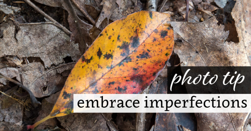 Photo Tip: Embrace Imperfections