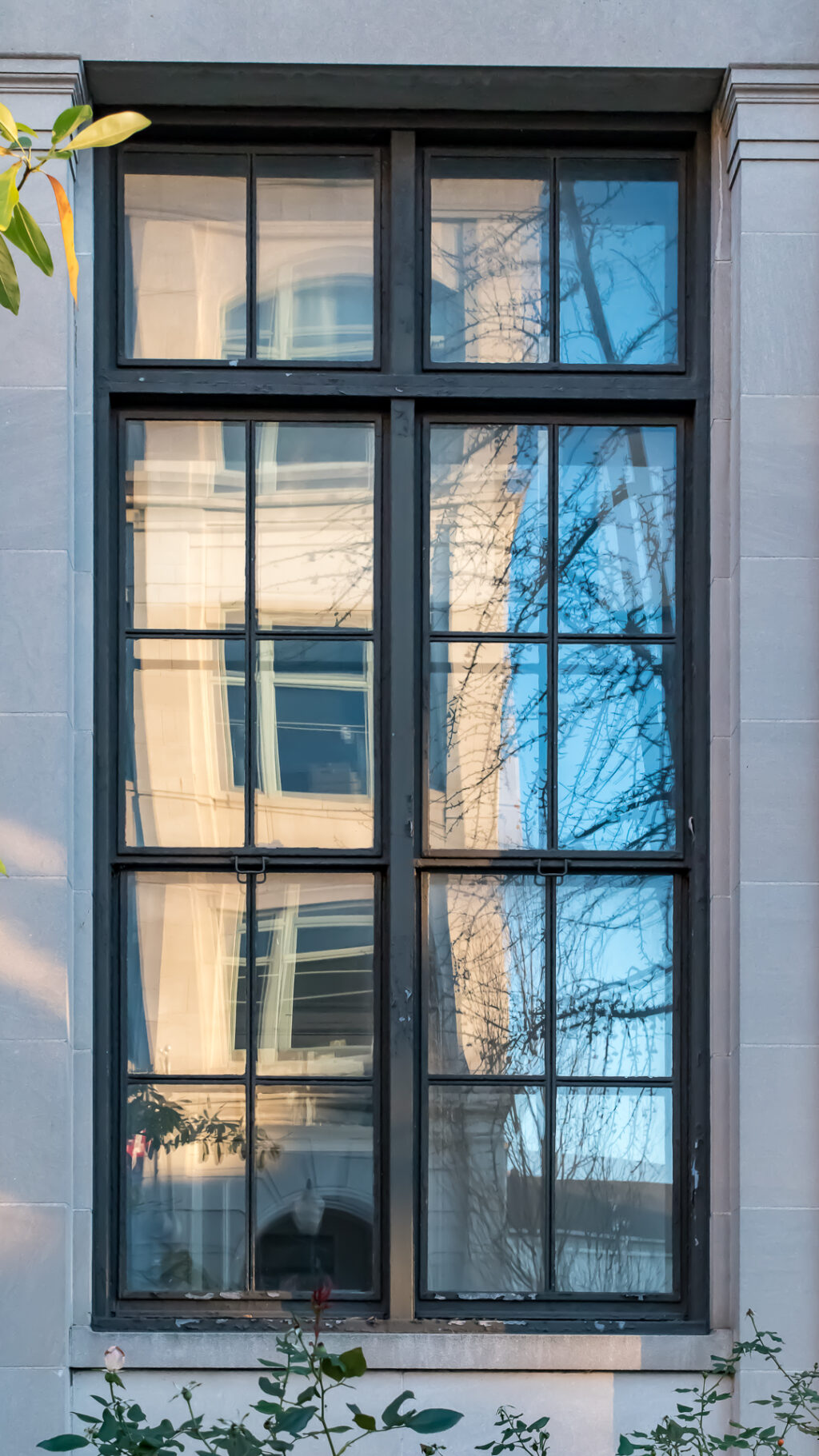 Window with reflections