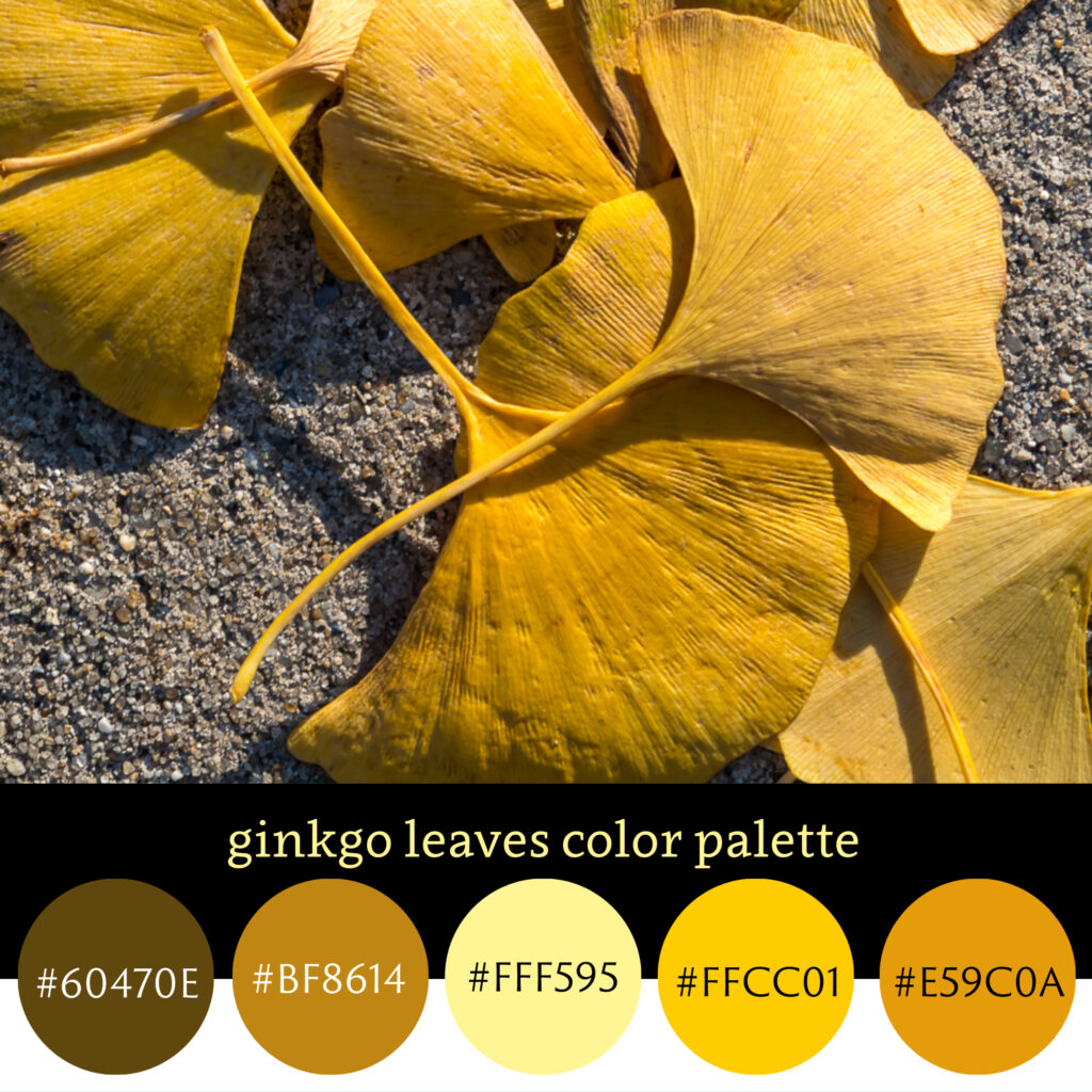Ginkgo Leaves Color Palette