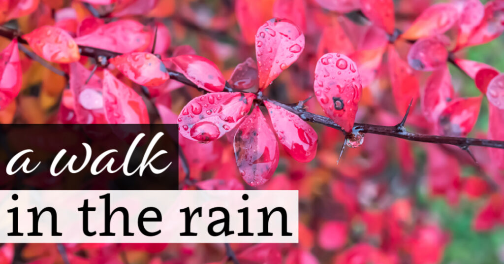 A Walk in the Rain
