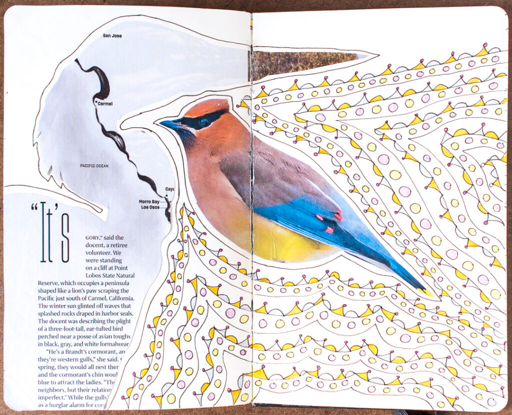Heron & waxwing with doodles in my art journal