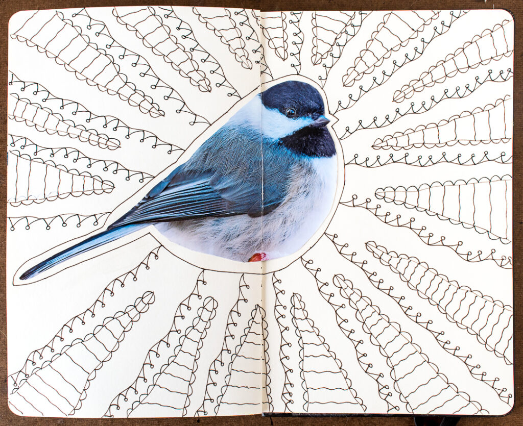 Chunky Chickadee with doodles