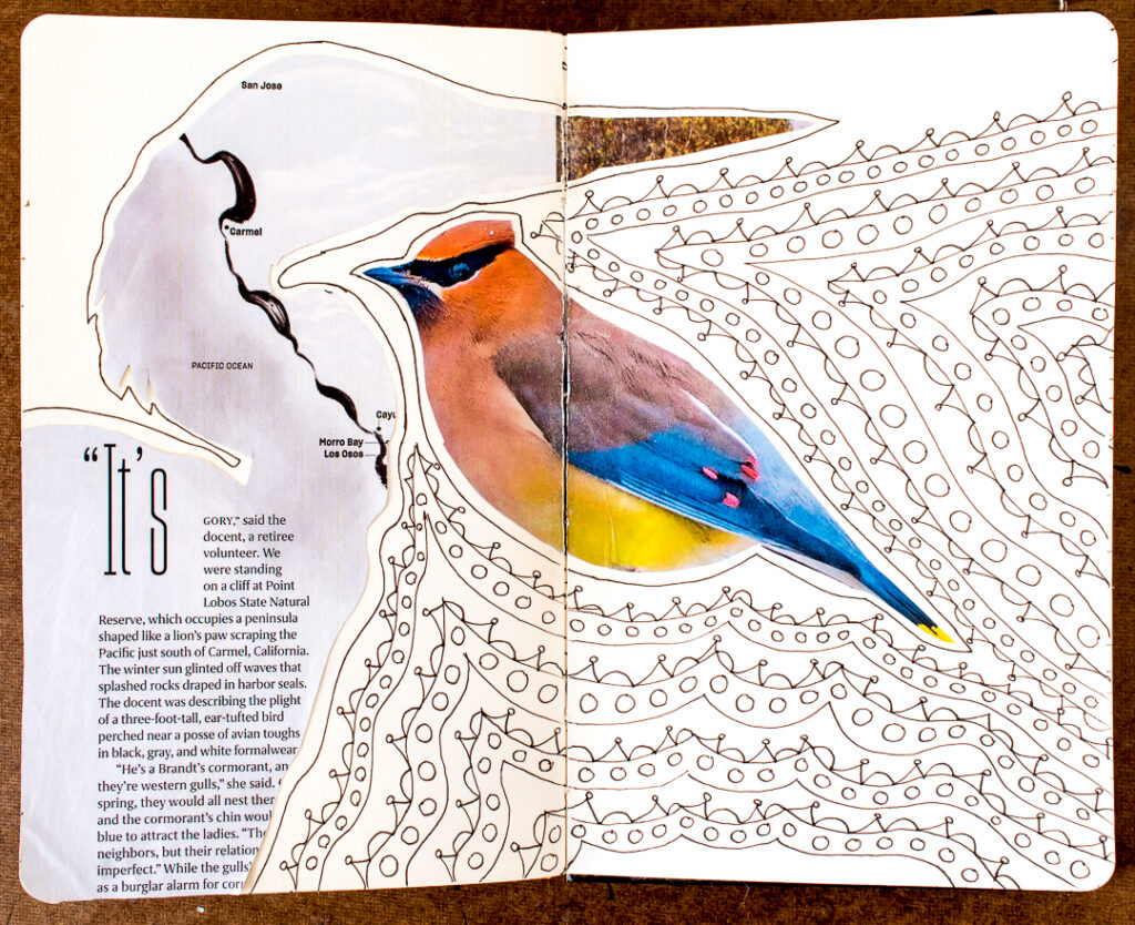 heron and cedar waxwing with doodles