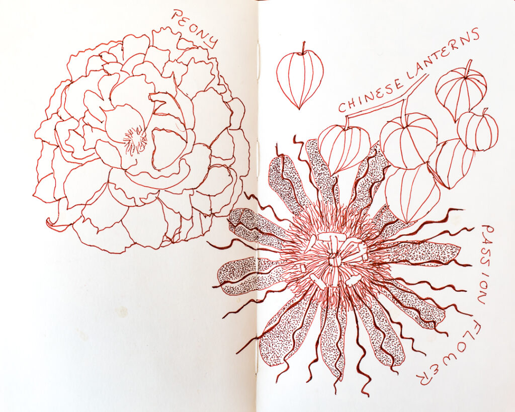Flower sketches