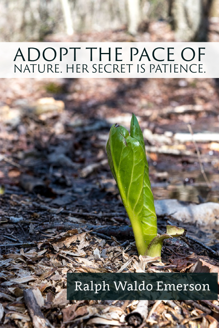 "Adopt the pace of nature. Her secret is patience." ~Ralph Waldo Emerson