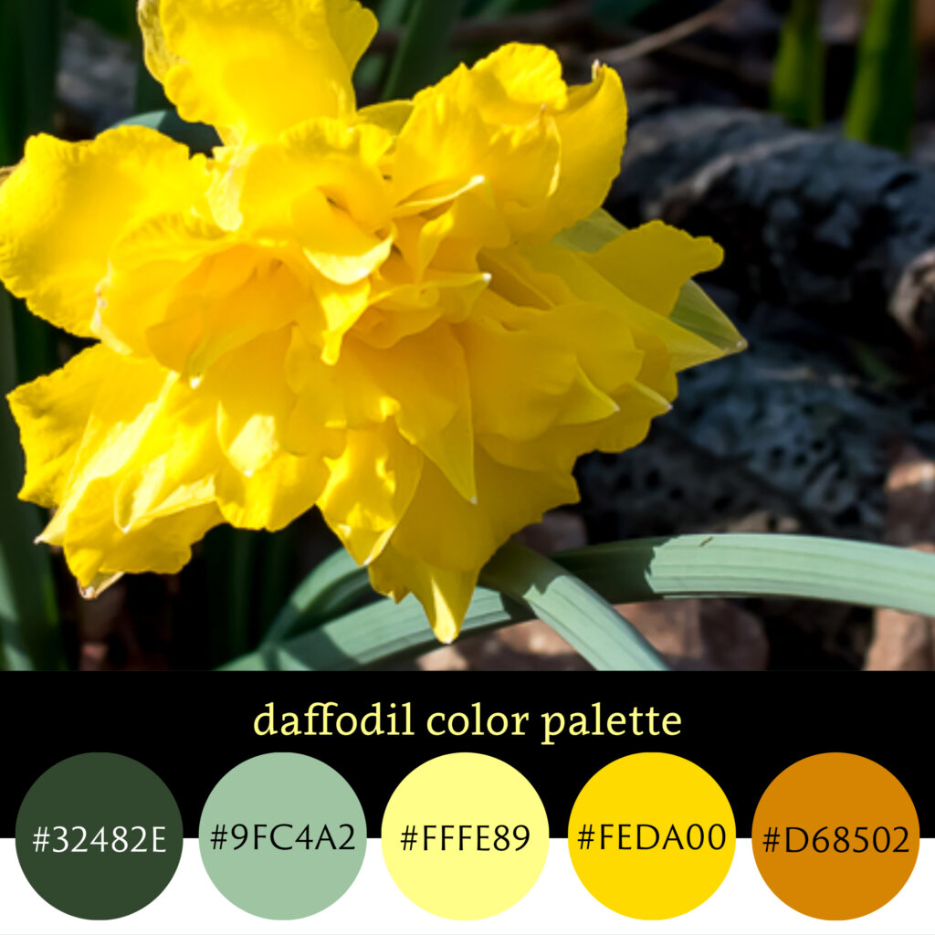 Daffodil Color Palette