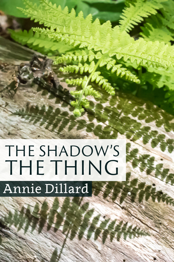 "The shadow's the thing." ~Annie Dillard