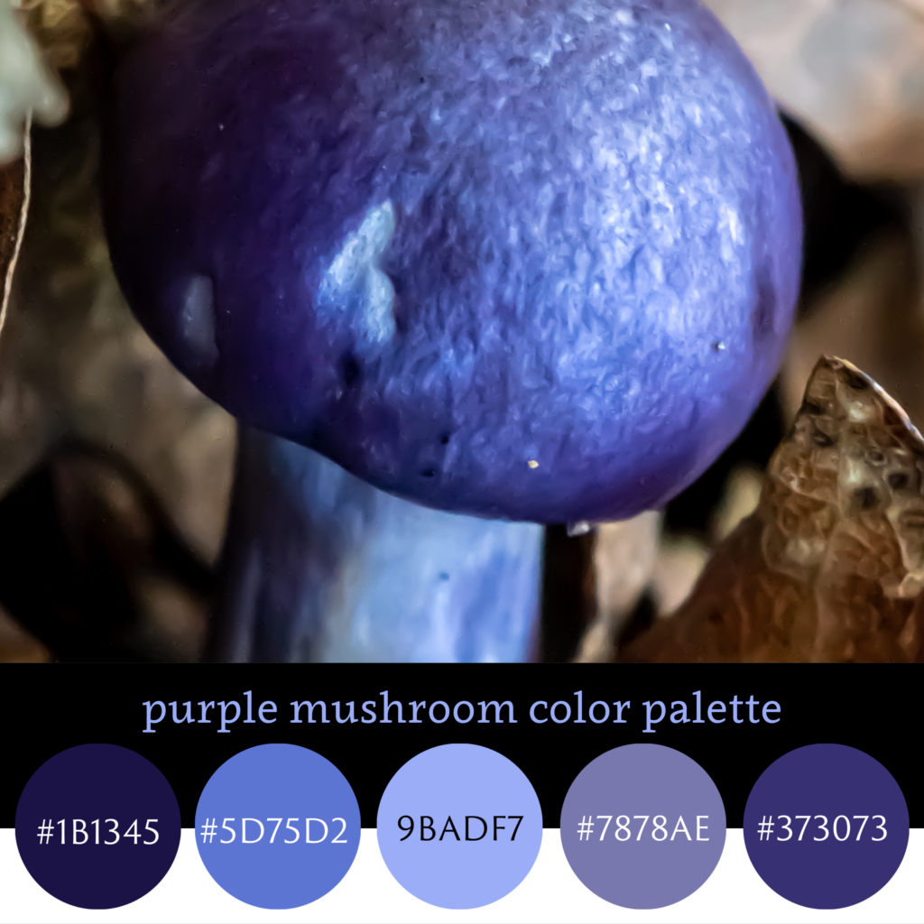 Purple Mushroom Color Palette