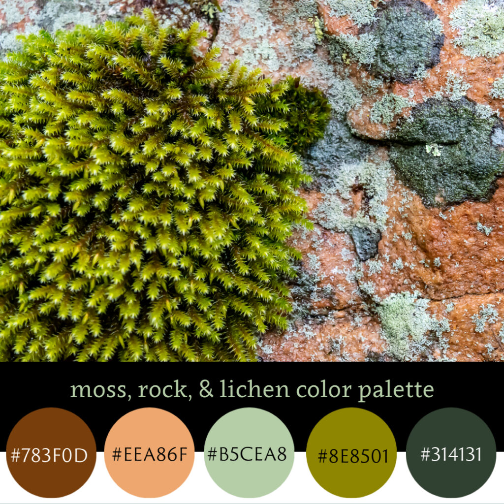 Moss, Rock, & Lichen Color Palette
