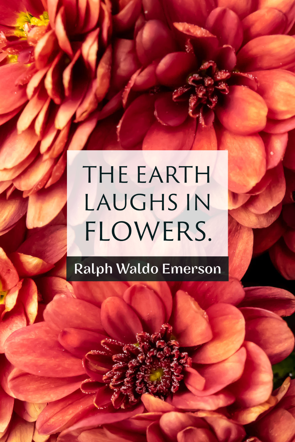 "The earth laughs in flowers." ~Ralph Waldo Emerson