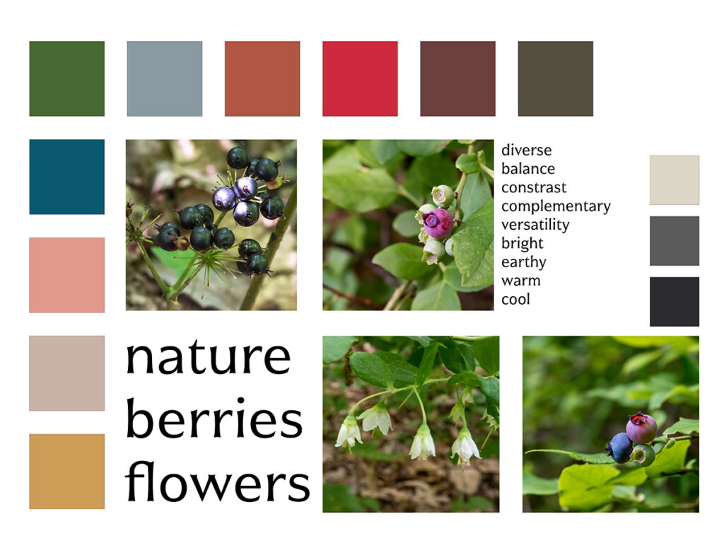 Berries & Blooms Mood Board