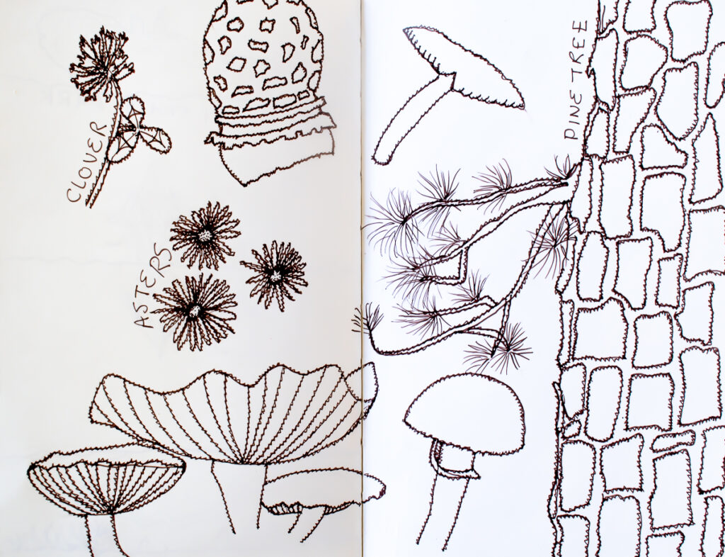 Mushroom and Nature Sketches