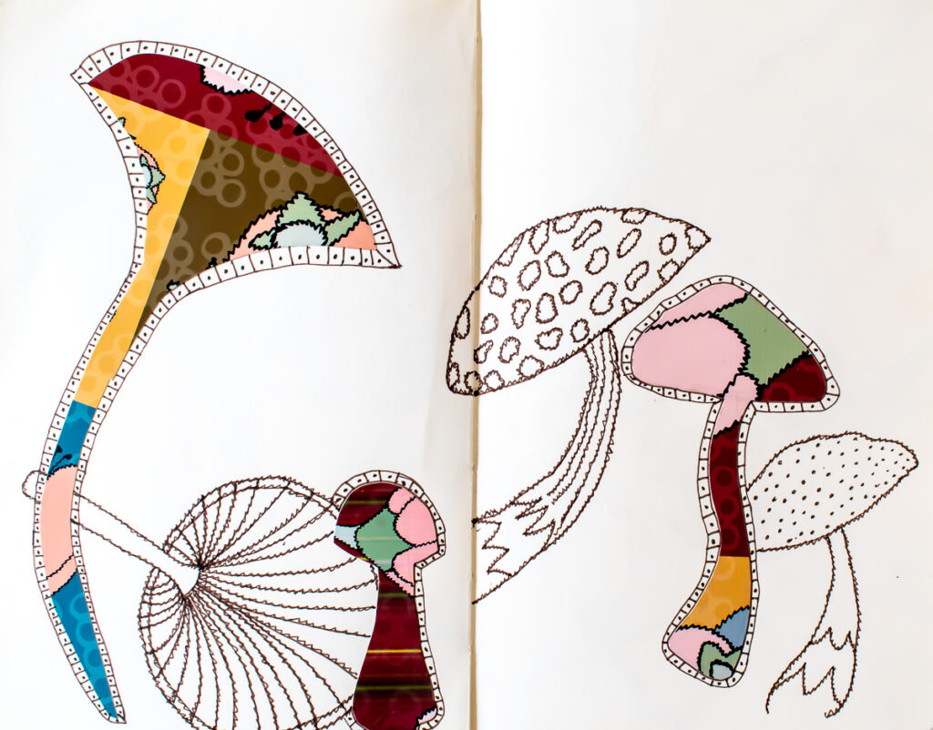 Mushroom Sketches & Collage