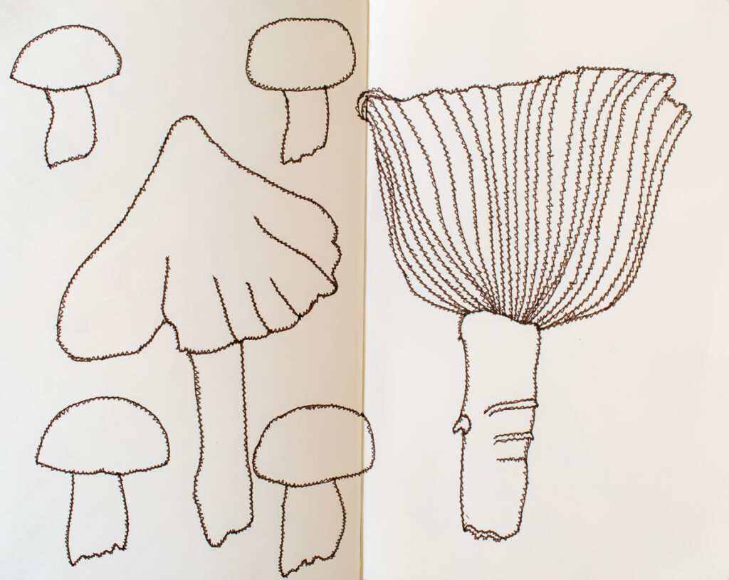 Mushroom Sketches