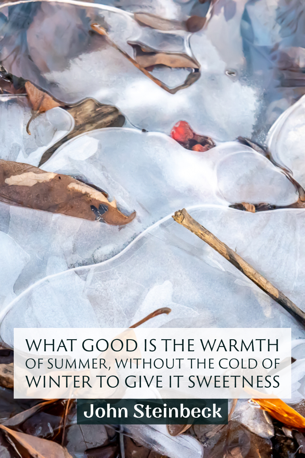 "What good is the warmth of summer, without the cold of winter to give it sweetness?" ~John Steinbeck