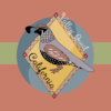 California State Bird: Valley Quail