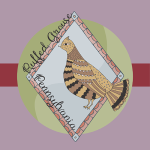 Pennsylvania State Bird: Ruffed Grouse
