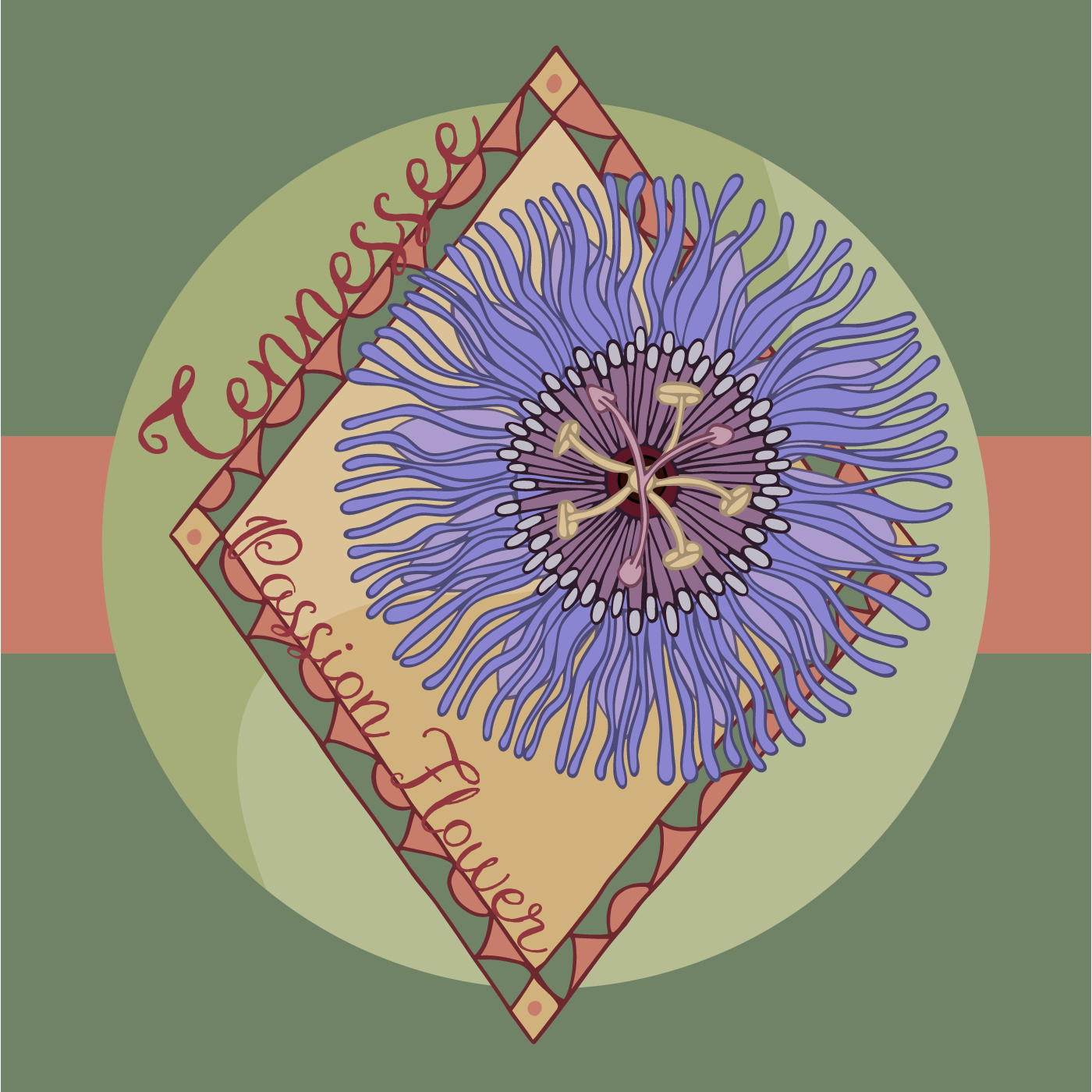 Tennessee State Flower: Passion Flower