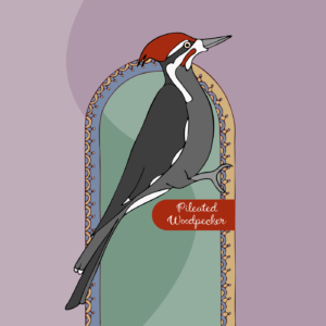 Retro Boho Pileated Woodpecker