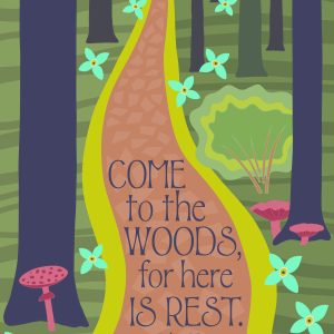 Come to the Woods, for here is rest. ~John Muir