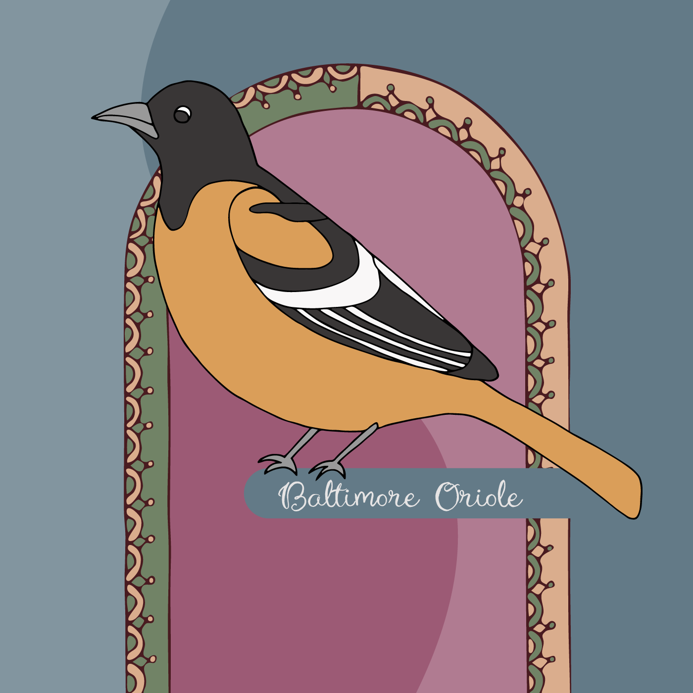 Retro Boho Baltimore Oriole in my Society6 Shop